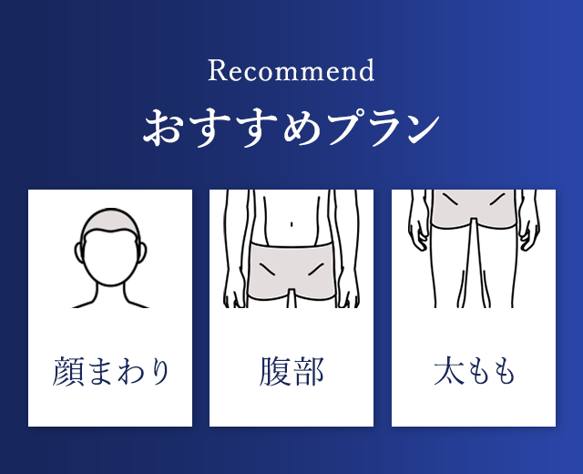おすすめプラン